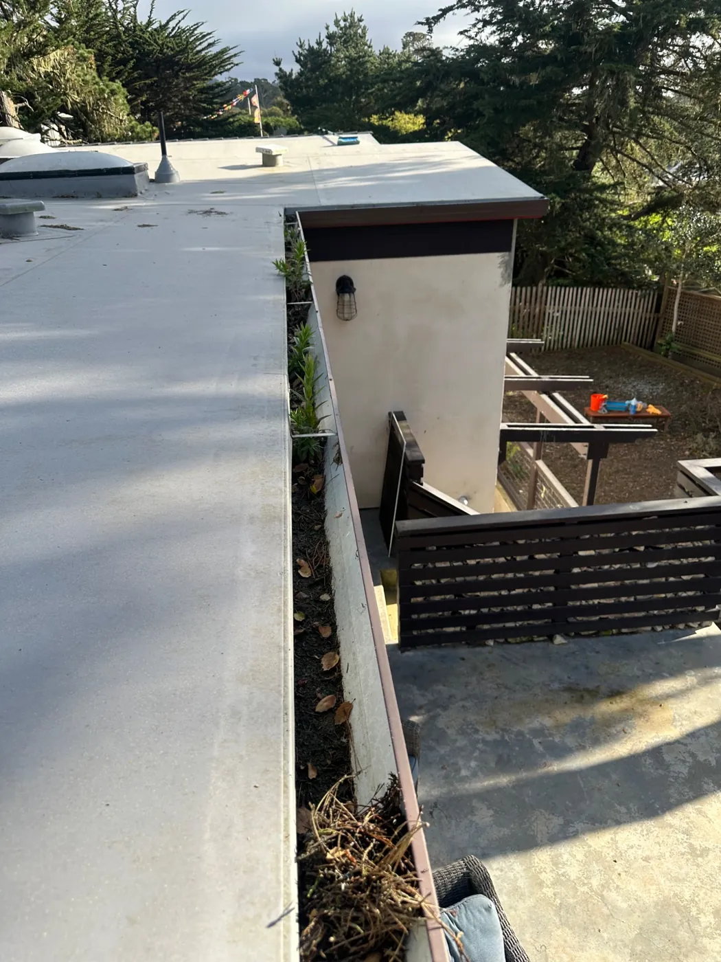 Before cleaning: buildup along a residential roof edge